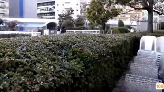 在线观看av黄片一区